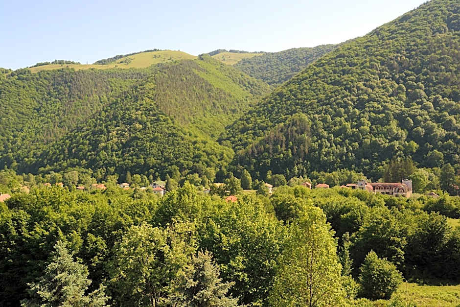 Park Hotel Ribaritsa