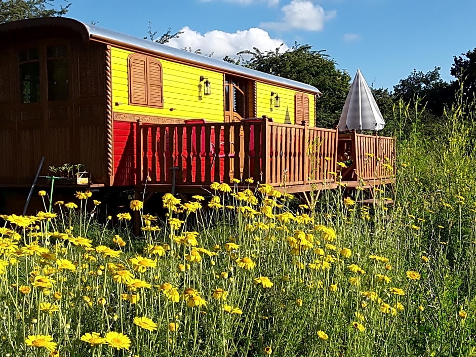 la roulotte de l'ami nature