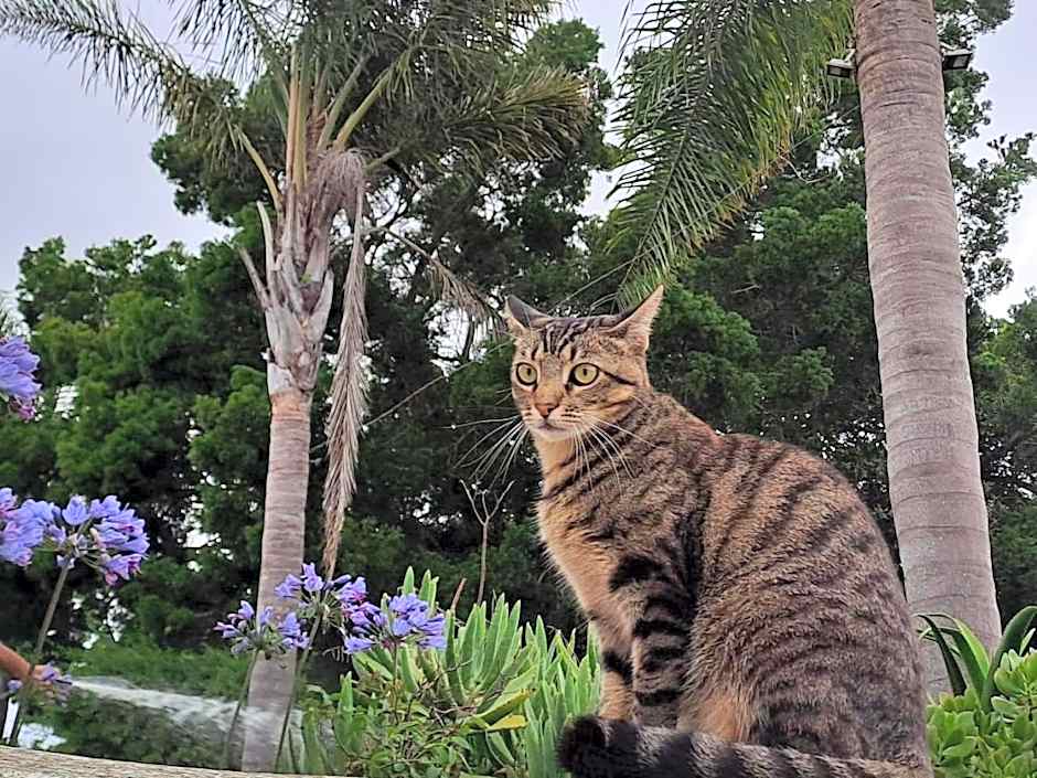 The Palms Albertinia