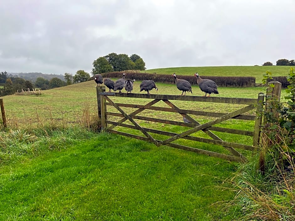 The old forge bed and breakfast