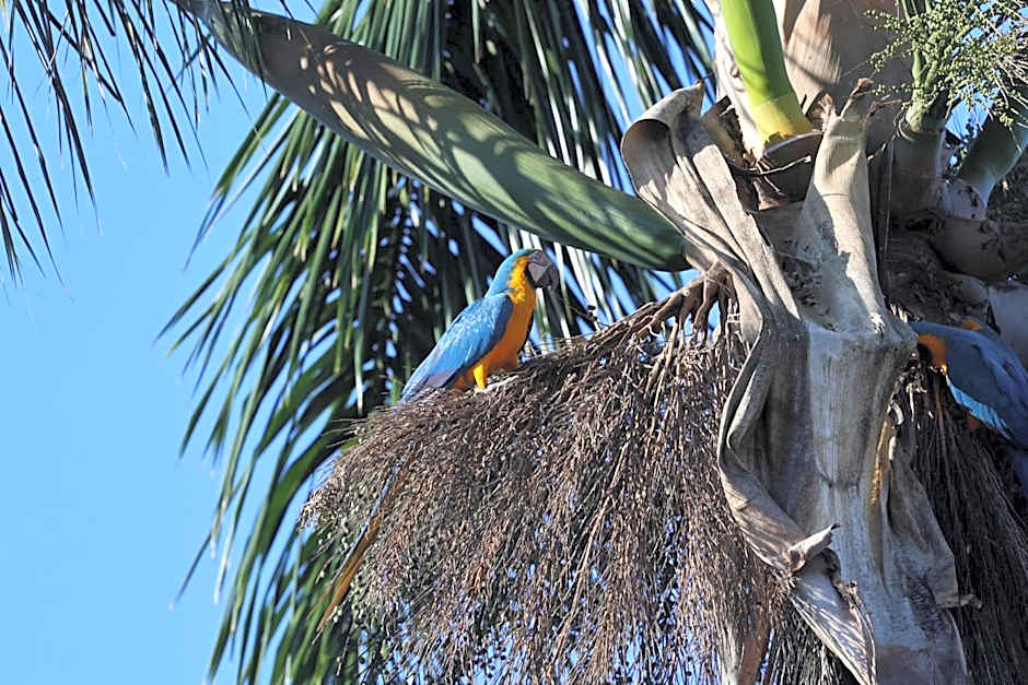 Pousada Cachoeira do Campo