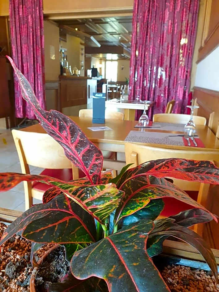 Hôtel Lion d'Or Romont