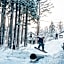 Mountain Hut Myoko