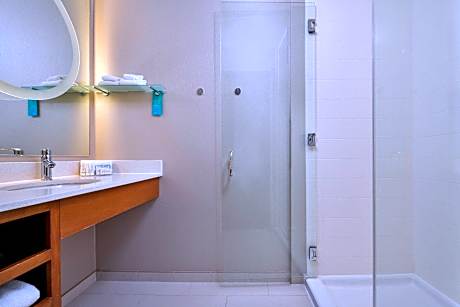 Suite, 1 King Bed