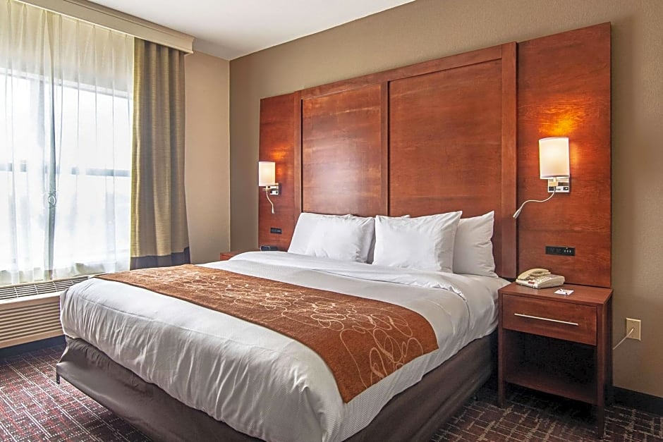 Comfort Suites NW Dallas Near Love Field