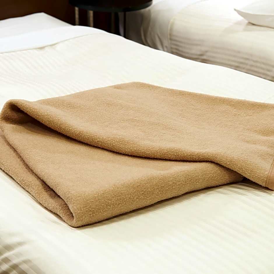 Sotetsu Fresa Inn Tokyo-Roppongi