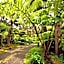 Hale 'Ohu Bed & Breakfast