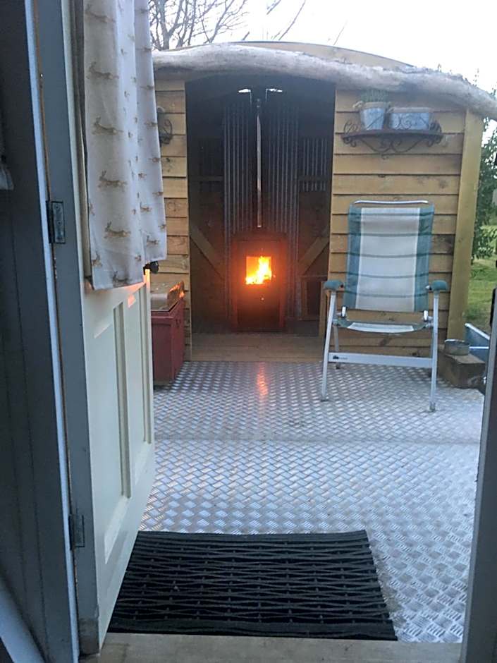 Mr Hares shepherd hut