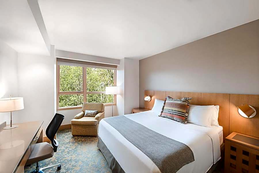 Photo 1 of 6 of Deluxe 1 King Bed