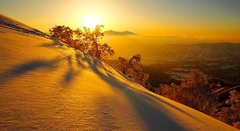 Guest House Seisenso