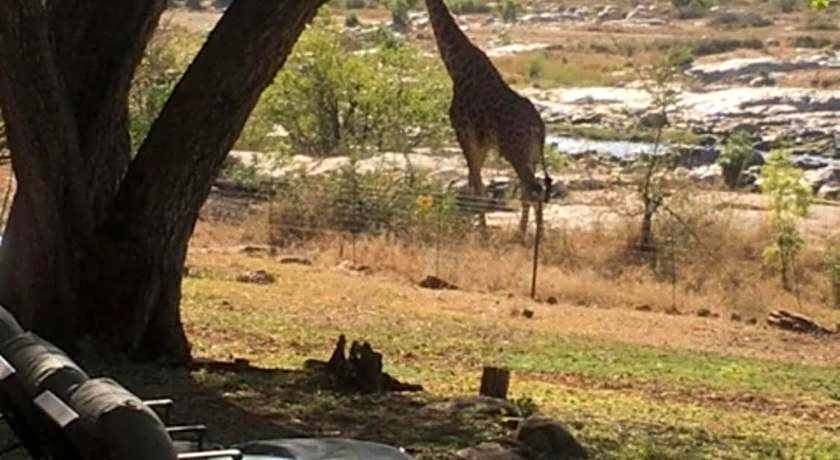 Mjejane River Lodge