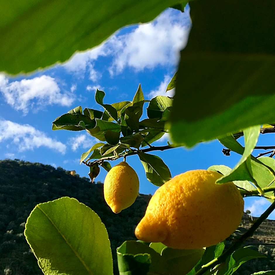 Hostel Douro Backpackers