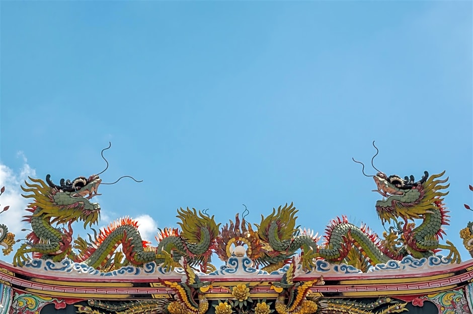 The Lion King Hotel