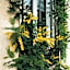 La Belle Endormie B&B French Guest house