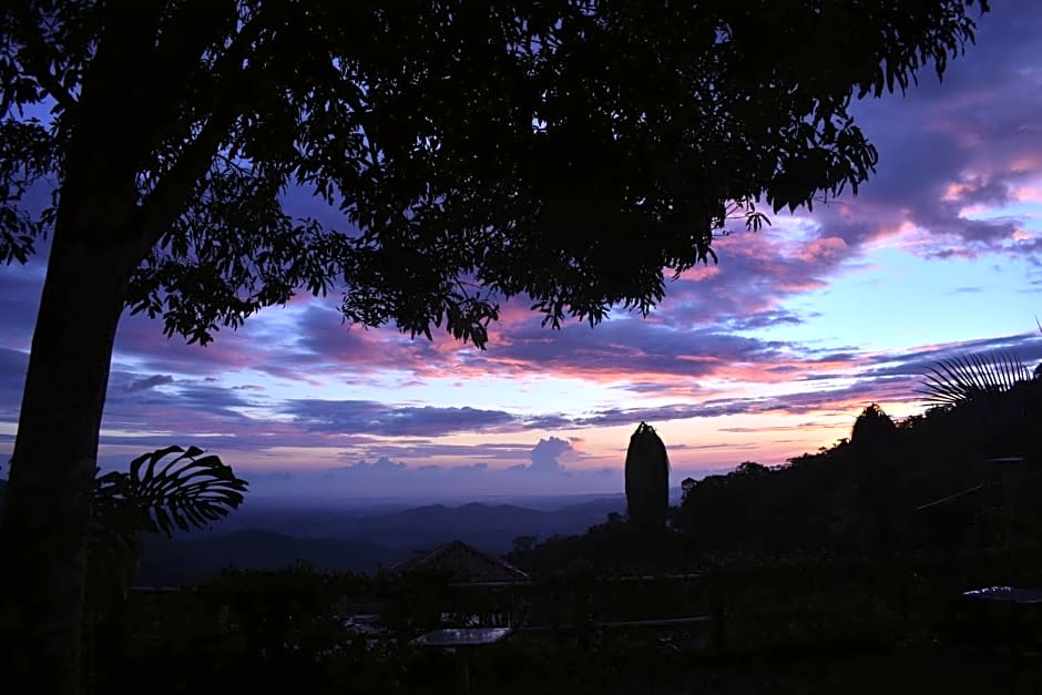 Finca San Antonio