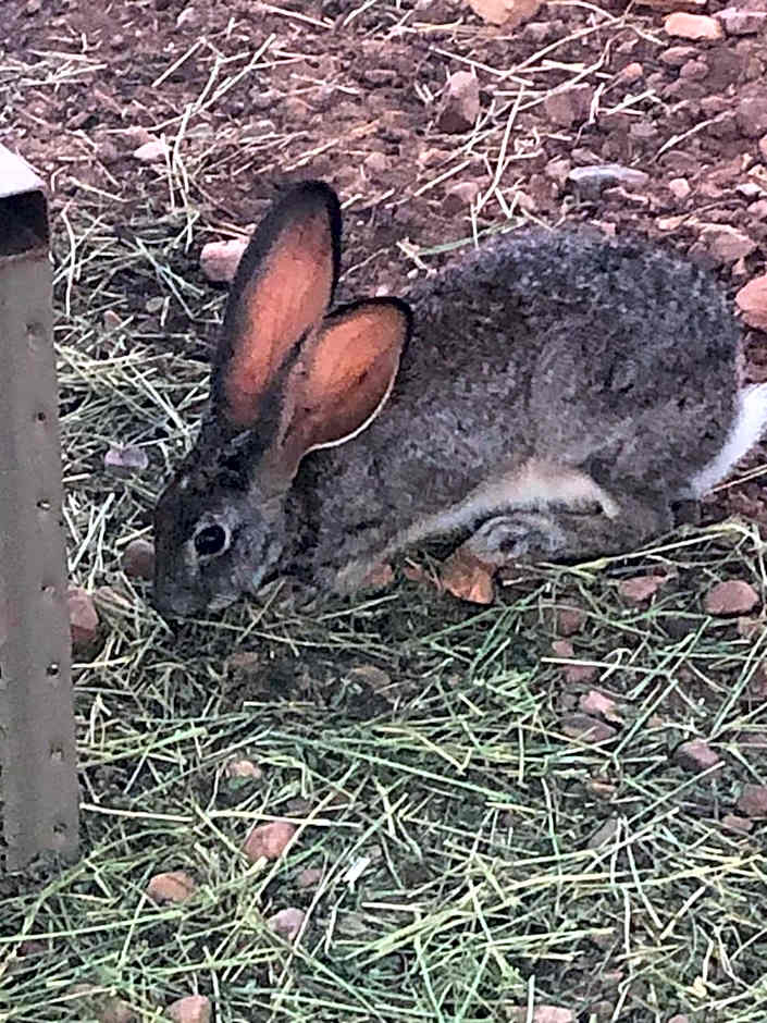 Zwartberg View Mountain Lodge