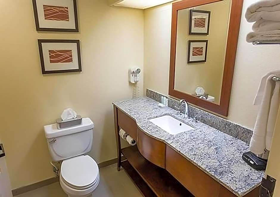Comfort Inn Hammond
