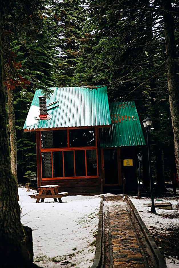 Karinna Orman Evleri