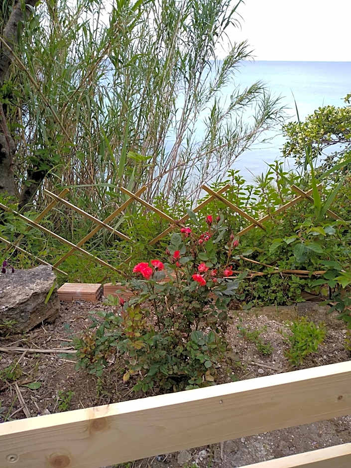 mare di zante "mare di levante"
