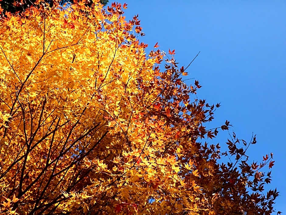 LA TERRA NAGANOーVacation STAY 96079v