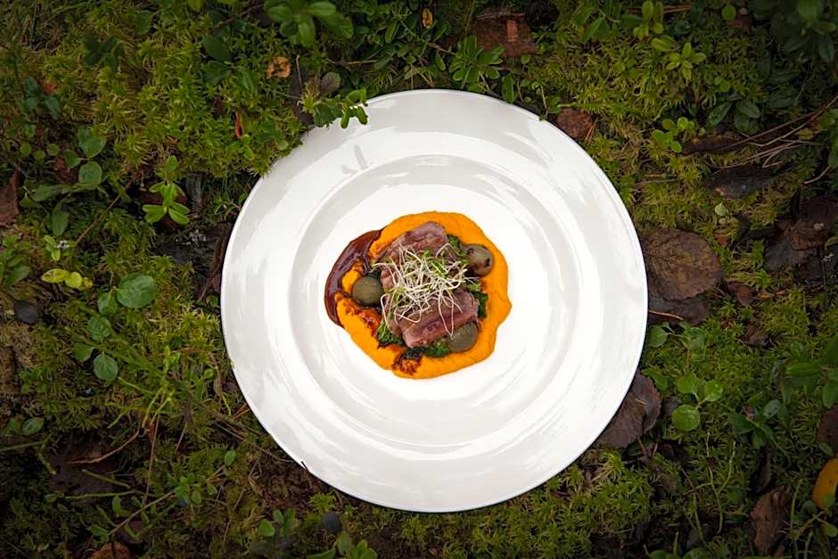 Hotel Aateli Hillside