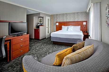 Deluxe King Guestroom