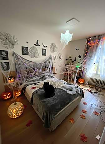 Logis Hôtel du Cirque Troyes centre historique