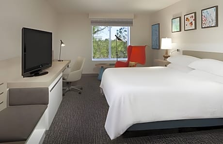 1 King 1 Bedroom Presidential Suite