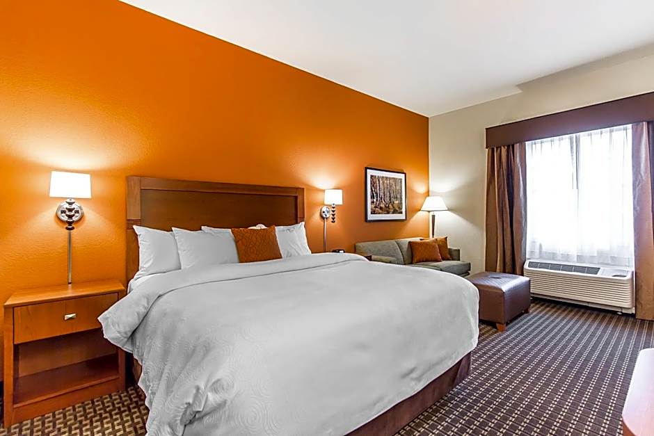 Photo 1 of 8 of 1 King Bed with Sofabed Suite