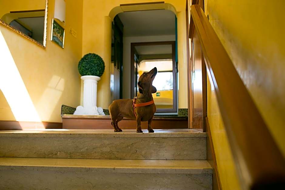 Rex Hotel Residence