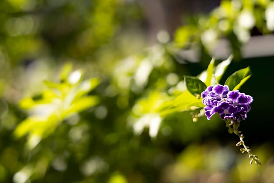 Hyatt Residence Club San Antonio, Wild Oak Ranch