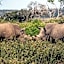 Sibuya Game Reserve and Lodge