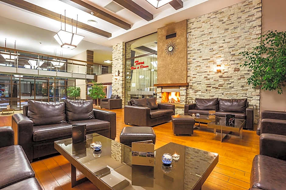 Terra Hotel