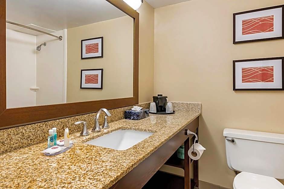 Comfort Inn MSP Airport - Mall of America