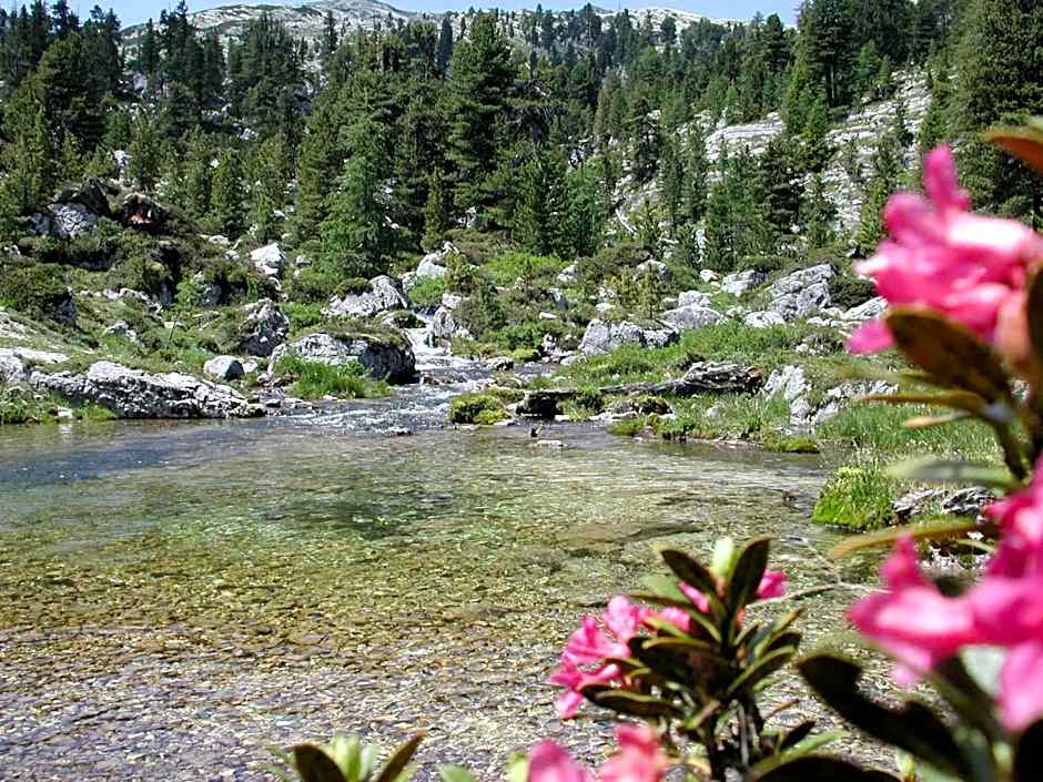 Piccolo Hotel Claudia No Pets