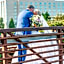 Chicago Marriott Southwest at Burr Ridge