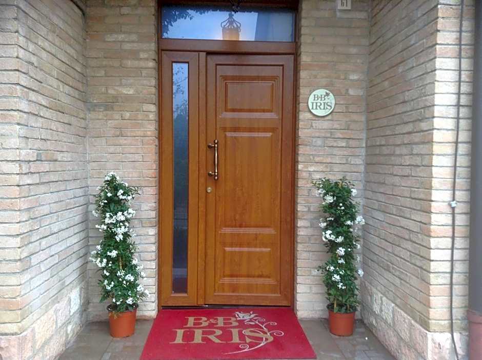 B&B Iris