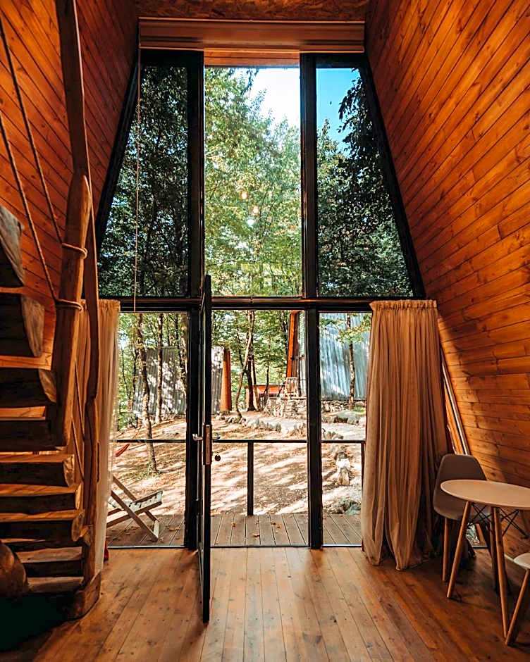 Eco Village In The Forest