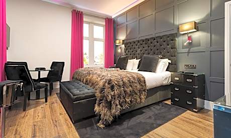 Luxury Studio Apartment