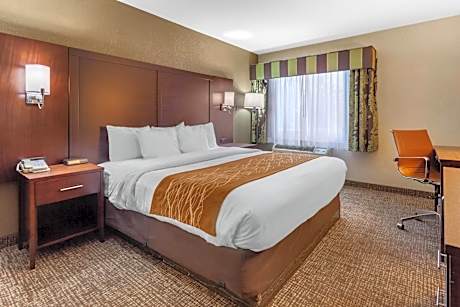 King Room - Disability Access/Non-Smoking