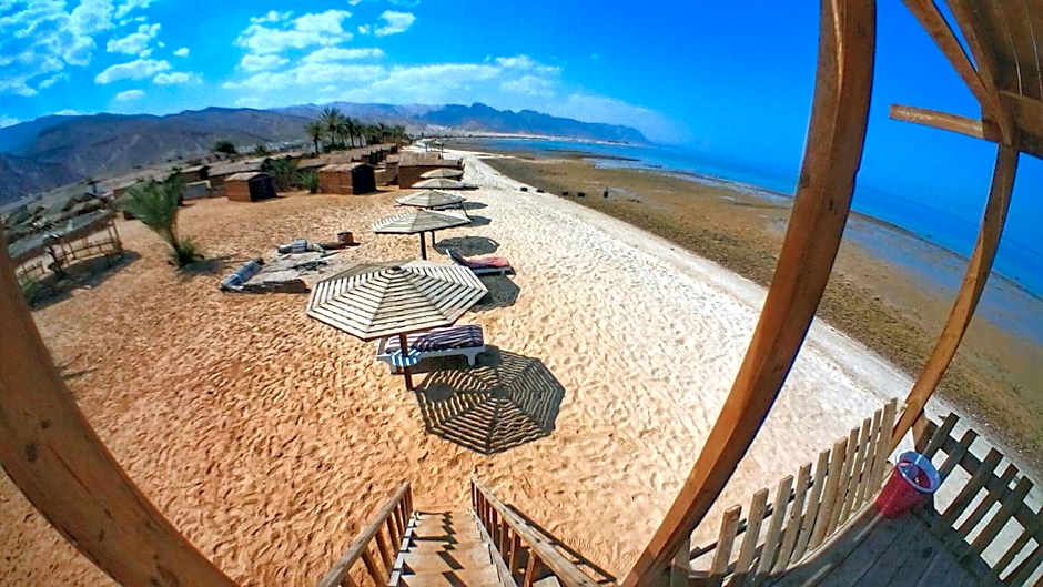 Paradise Sweir