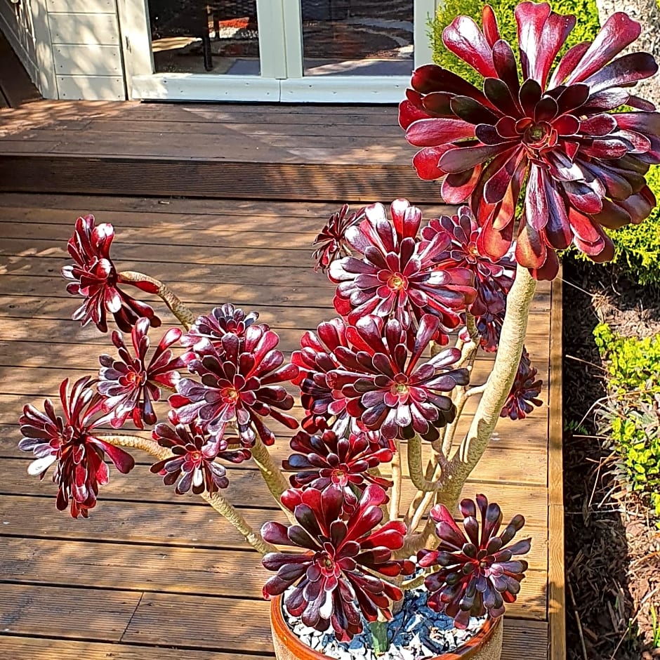 Eden's Rest Bed and Breakfast