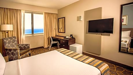 Standard 1 Queen Bed Non-Smoking City Facing