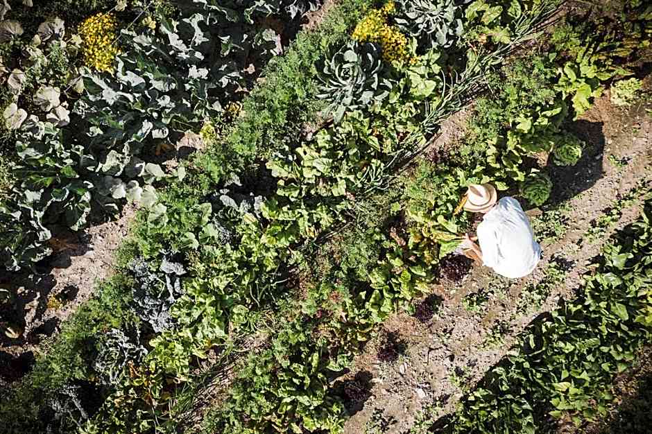 Hotel Alte Mühle 4 Stelle