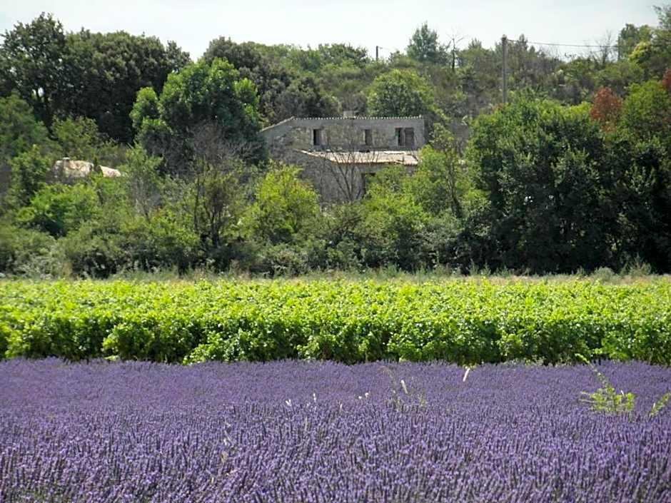 " Chez NADOU " 2 Chambres d' Hôtes à 4 Kms d'Uzès