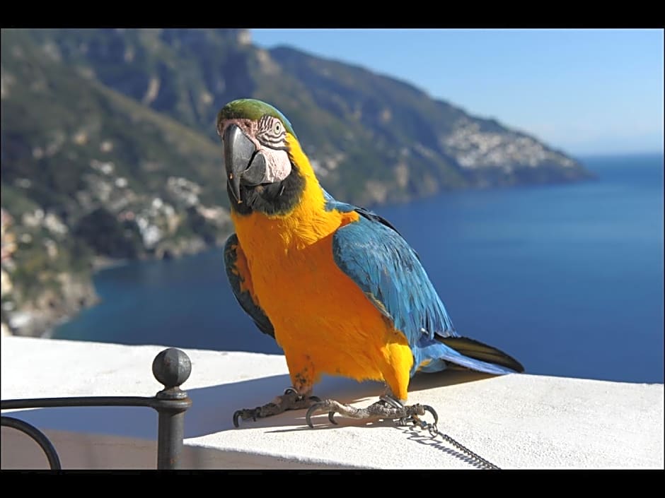 Villa Briganti Seaview Terrace