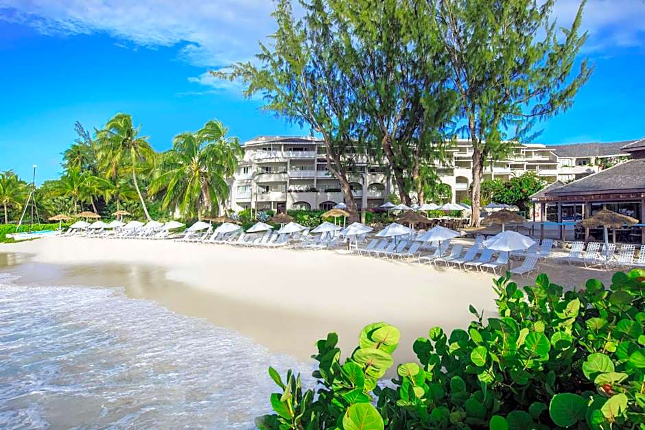 Bougainvillea Barbados