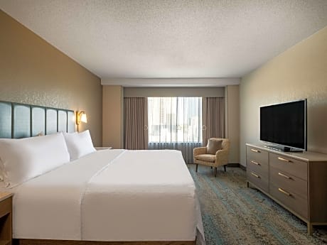 1 King Bed 1 Bedroom Suite