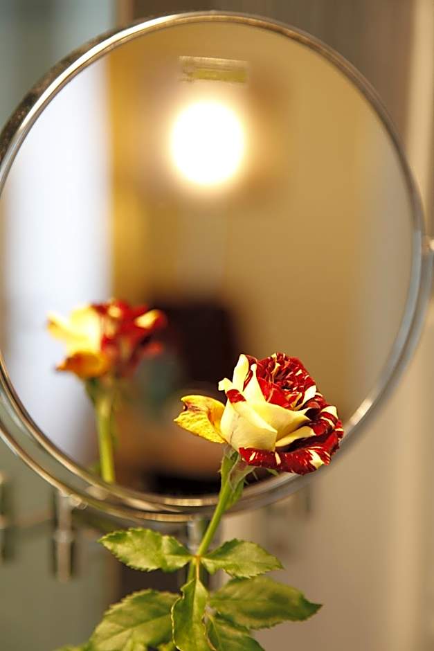 Comfort Hotel Tom Kyle