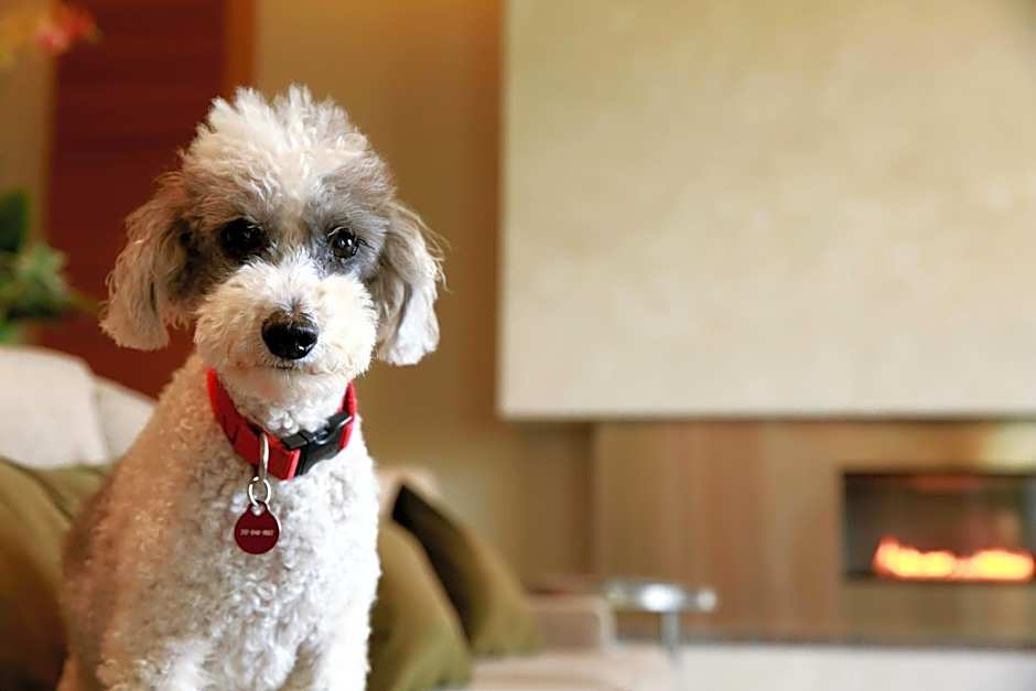 I Hotel And Conference Center